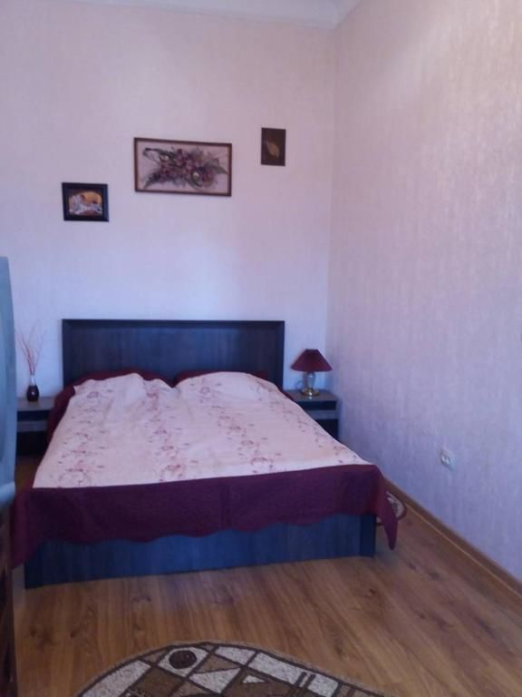 Апартаменты Apartment on Zarvanskaya in Old Town Каменец-Подольский-20