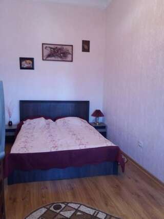 Апартаменты Apartment on Zarvanskaya in Old Town Каменец-Подольский Апартаменты с 1 спальней-17