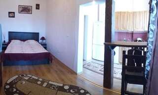 Апартаменты Apartment on Zarvanskaya in Old Town Каменец-Подольский Апартаменты с 1 спальней-6