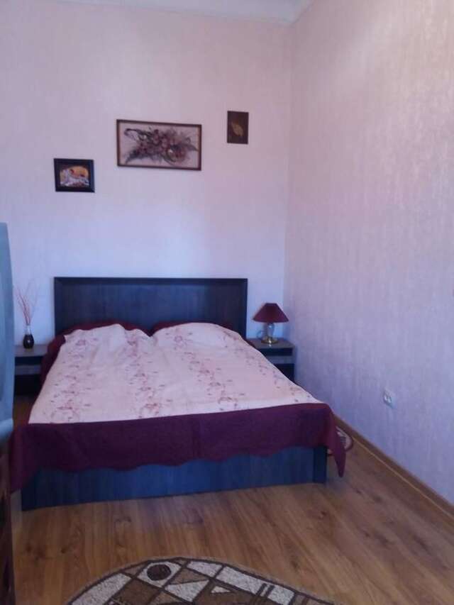 Апартаменты Apartment on Zarvanskaya in Old Town Каменец-Подольский-10